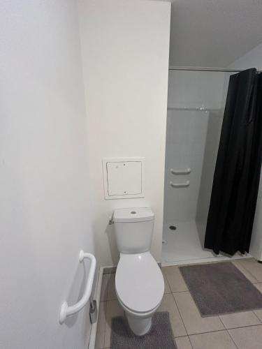une salle de bain blanche avec toilettes et douche dans l'établissement Jacuzzi suite, à Montfermeil