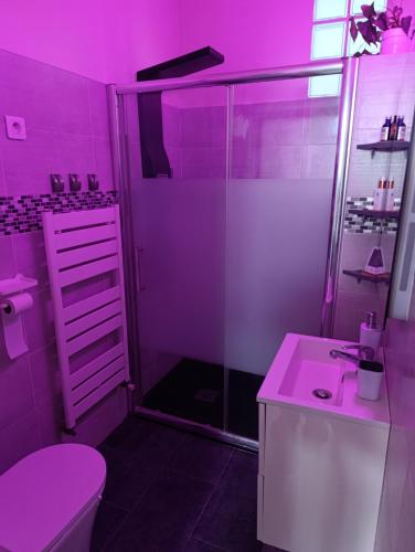 La salle de bains rose est pourvue de toilettes et d'une douche. dans l'établissement Vacances comme à la maison, à Arnouville-lès-Gonesse