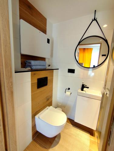a bathroom with a white toilet and a mirror at Butikowe Pokoje Zdrój Głuchołazy in Głuchołazy