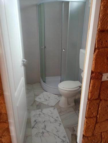 a bathroom with a toilet and a glass shower at Casa Tamara in Turda