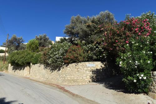 Φωτογραφία από το άλμπουμ του ANEVOLEMA στο Καμηλάρι