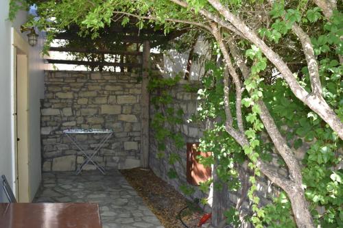 Κήπος έξω από το ANEVOLEMA
