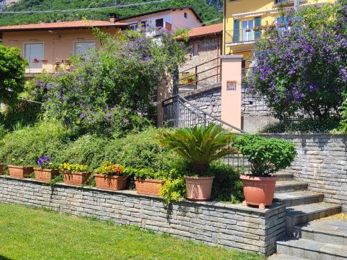 Casa Intignano - appartamento con terrazzo vista lagoにある庭