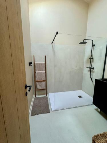 La salle de bains est pourvue d'une douche et d'un sèche-serviettes. dans l'établissement Maison de ville piscine chauffée, à Eyragues