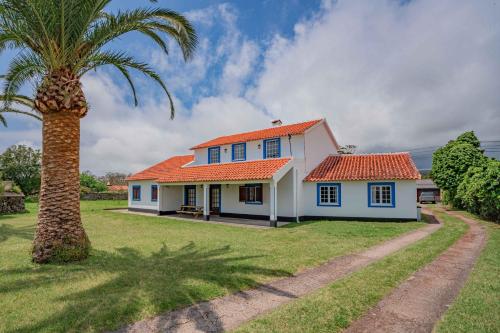 a palm tree next to a white house with an orange roof at Grace Villa in Terra Chã
