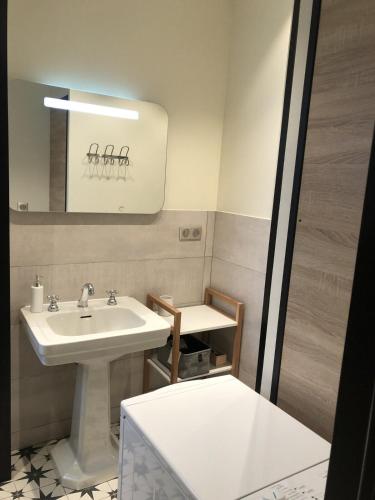 une salle de bain avec un lavabo et un miroir dans l'établissement Appartement T2 40 m2 residence l'Europe Béatrice centre-ville 1 chambre parking, à Aix-les-Bains