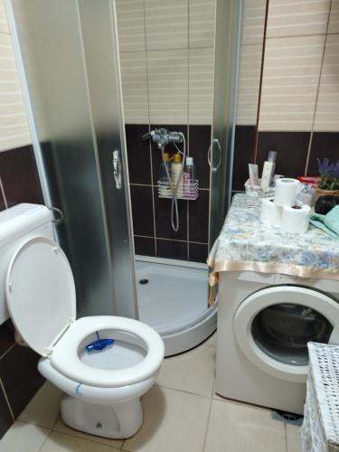 a bathroom with a toilet and a shower at Apartman Mira in Požarevac
