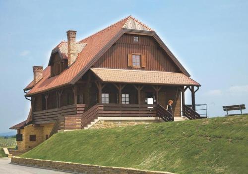 a large wooden house on top of a hill at Rooms Bolfan Vinski Vrh in Hrašćina