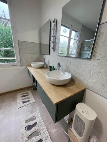 a bathroom with a sink and a mirror and a toilet at Le chant de l'eau in Uzerche