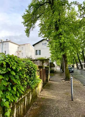un arbre sur un trottoir à côté d'une rue dans l'établissement Cocon Dacquois, à Dax