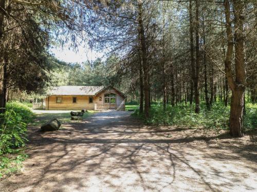 a cabin in the woods with a dirt road and trees at Rowan Lodge in Swadlincote