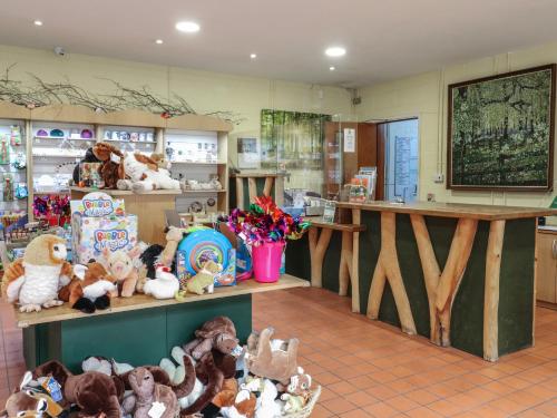 a store with a lot of stuffed animals on display at Rowan Lodge in Swadlincote