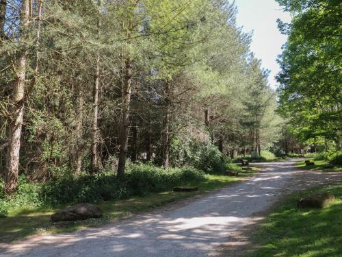a dirt road with trees on both sides at Rowan Lodge in Swadlincote