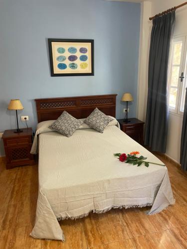 Gallery image of Apartamento en La Gomera, Playa de Santiago, Alajeró in Playa de Santiago