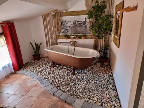 ein Badezimmer mit einer Badewanne auf einem Felsbett in der Unterkunft Maison T3, quartier des peintres, calme et standing, patio privé, clim et wifi in Collioure