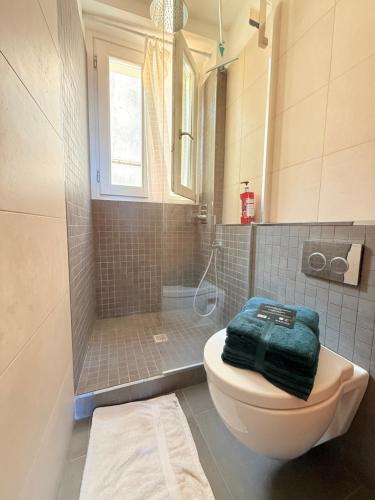 une salle de bain avec toilettes et douche dans l'établissement Charmant Studio Perché sur Mer - Vieux Menton, à Menton