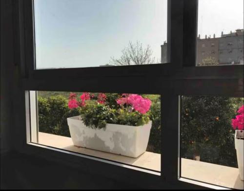 a window with a pot of flowers on a window sill at Habitación individual con baño privado en piso de lujo in San Juan de Aznalfarache