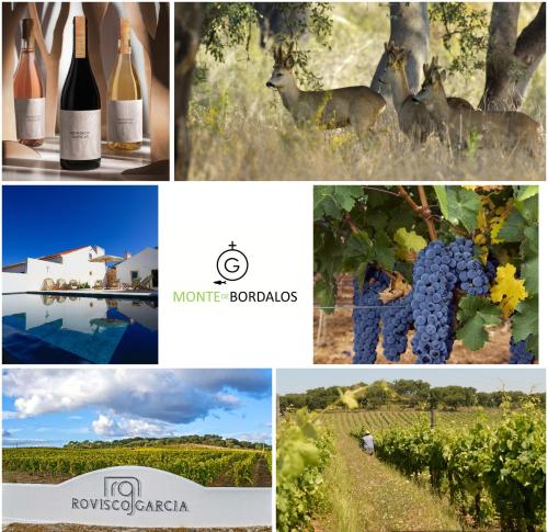 a collage of photos with wine bottles and grapes at Monte de Bordalos in Monte de Bordalos
