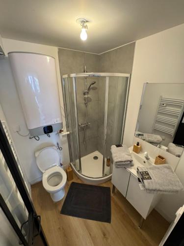 une salle de bain avec une douche, des toilettes et un lavabo dans l'établissement logement 5 tout confort gare centre, à Poitiers
