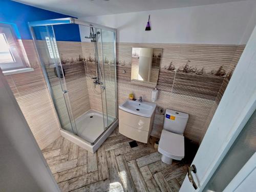 Un baño con ducha, inodoro y lavabo. en Vila Calut de mare Jurilovca, en Jurilovca