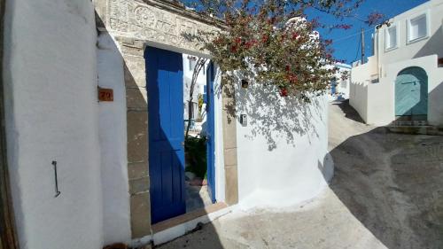 Clive and Bifi's house