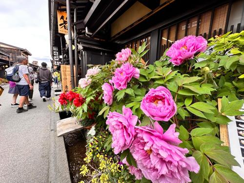Clientes alojados en Aoi Suite Takayama