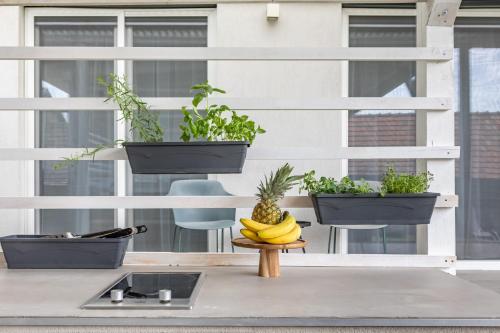 a table with three pots of plants and a pineapple at BalatonGardens Apartman in Balatonudvari