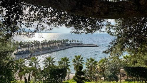 White Residence Apartment - Green