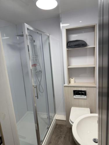 a bathroom with a shower and a toilet and a sink at Royal Apartments SouthBank 1 in South Bank