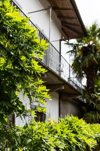 a building with a staircase in the middle of trees at Casa della Musica in Verbania