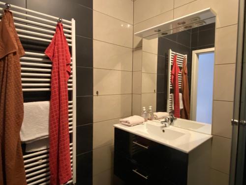 un baño con lavabo y espejo en Haus Merten, en Arnstadt