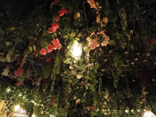 Un jardín fuera de Check inn homes