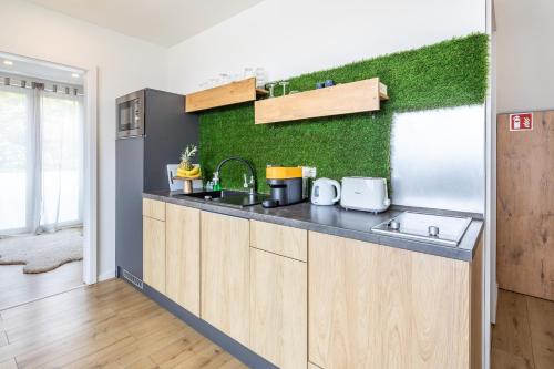 a kitchen with a green wall and a sink at BalatonGardens Apartman in Balatonudvari