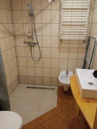 a bathroom with a shower and a toilet and a sink at Pod Orzechem in Sanok