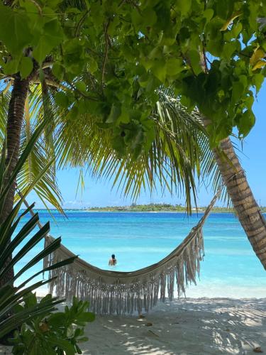 a hammock hanging between two palm trees on a beach at Tropika Beach Thulusdhoo in Thulusdhoo