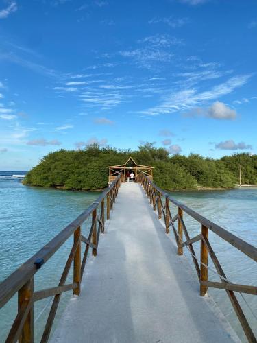 a wooden bridge over a body of water at Tropika Beach Thulusdhoo in Thulusdhoo