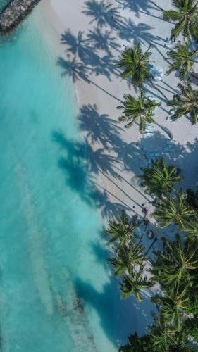 an aerial view of a beach with palm trees at Tropika Beach Thulusdhoo in Thulusdhoo
