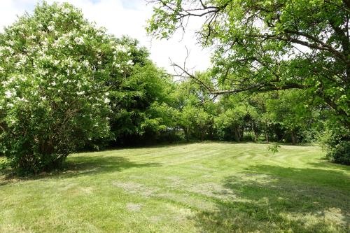 a grassy field with trees and a grassy field at La Barzalière in Chimay