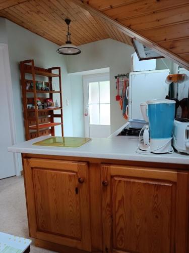 a kitchen with wooden cabinets and a counter top at STUDIO Monnet in Antrenas