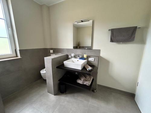 a bathroom with a sink and a mirror at Feriendomizil im Saarschleifenland in Mettlach