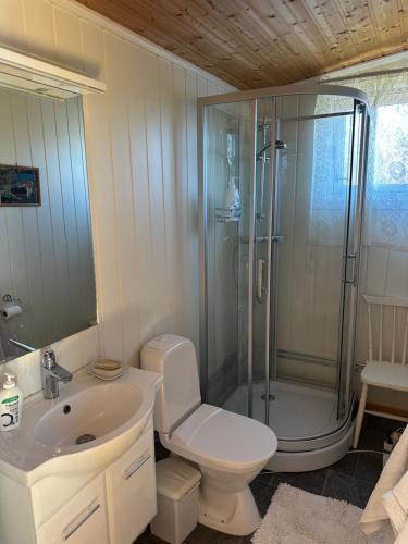 een badkamer met een douche, een toilet en een wastafel bij Nilsen in Fredrikstad
