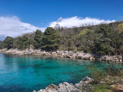 a river with turquoise water and trees on the shore at Apartman Ivona in Malinska