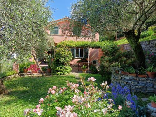 Giardino di Villa Albachiara