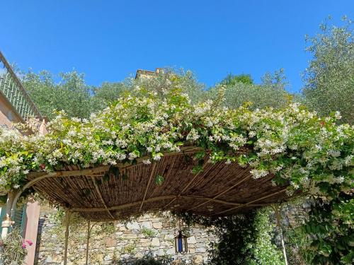 Giardino di Villa Albachiara