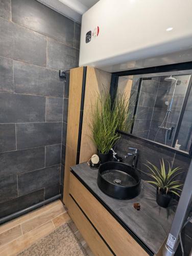 La salle de bains est pourvue d'un lavabo noir. dans l'établissement Reveil face aux vagues pour 6 personnes Manahere, à Lacanau