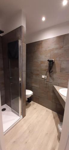 a bathroom with a shower and a toilet and a sink at Haus Sieben - Singer Lydia in Kötschach