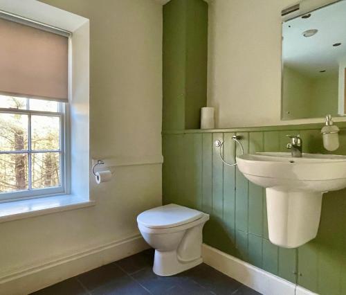 a bathroom with a sink and a toilet and a mirror at Nant Gwrtheyrn in Llithfaen