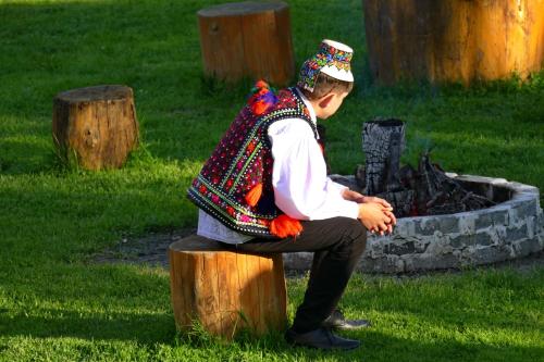 a man sitting on a stump next to a fire pit at Pensiunea Maramu in Breb