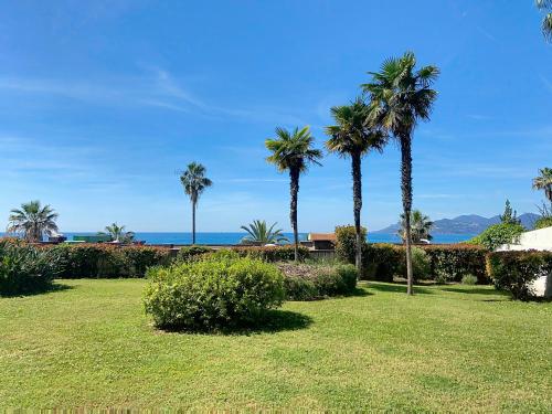 un parc avec des palmiers et l'océan en arrière-plan dans l'établissement Superbes prestations grande terrasse 352L, à Cannes