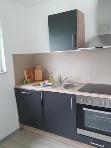 Kuchyň nebo kuchyňský kout v ubytování Wiek-Resort